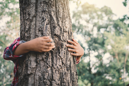 Asian boy hugging big tree color of hipster tone selective soft focus, concept nature and human...
