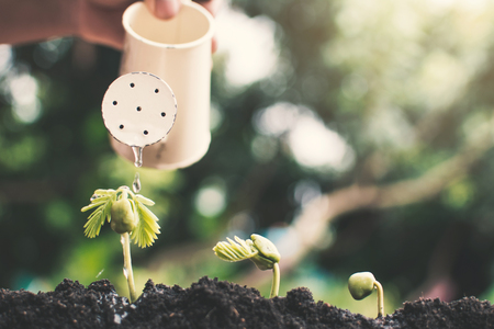 Hand holding watering can gardening green plant growing up on soil.の写真素材