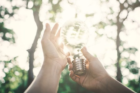 Human holding light bulb in nature selective soft focus, concept protect the environmentの写真素材