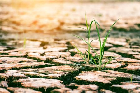 Crack land drought and environment crisis concept.
