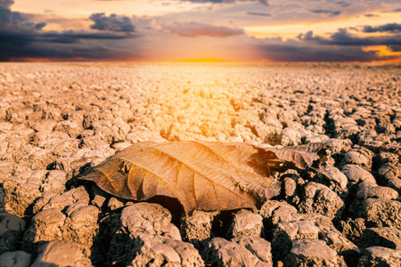 Drought land and dry leaf on crack ground in the lake , crisis of water in the world.の写真素材