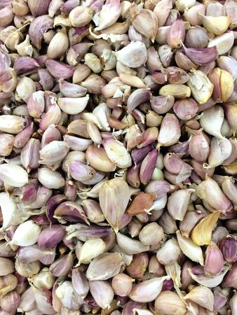 Thai garlics compose of white and purple garlic.の素材