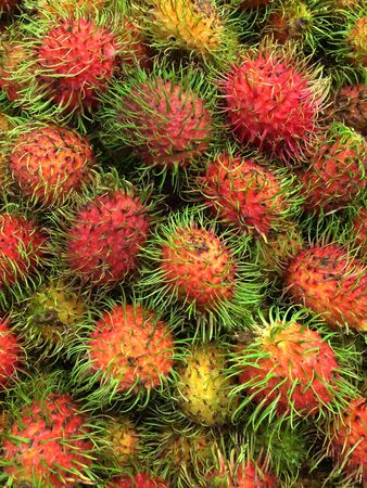 Red fresh rambutanの素材