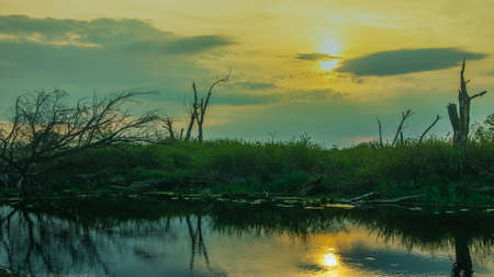 Sunset riverの写真素材