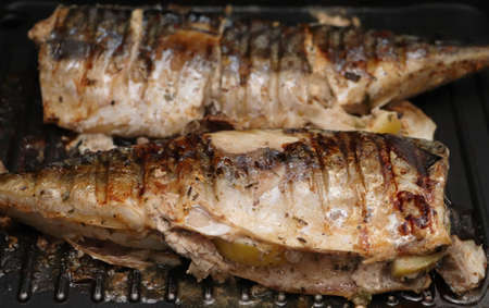 Mackerel is roasted on an electric grill. Grilled fish with lemon and salad