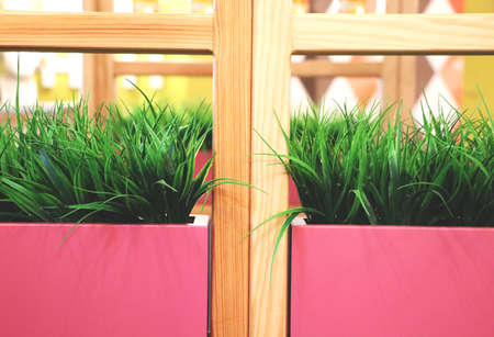 Artificial grass in pink pots. Interior of the restaurant, cafeの写真素材