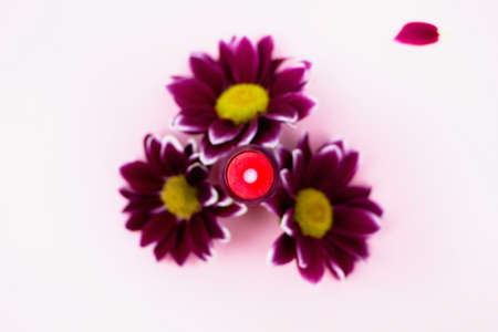 Red lipstick in chrysanthemum flowers, perfume. Pink background - space for text. Beauty, beauty and...