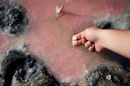 View of the pink Lemur Lake on the Arabat Spit in Ukraine. Unique pond with Dunaliella Salina algae, salt crystals and healing mud. Dead Sea analogueの写真素材