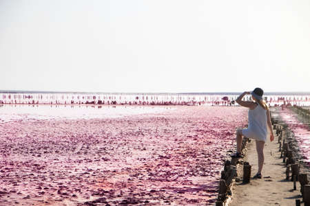 View of the pink Lemur Lake on the Arabat Spit in Ukraine. Unique pond with Dunaliella Salina algae, salt crystals and healing mud. Dead Sea analogueの写真素材