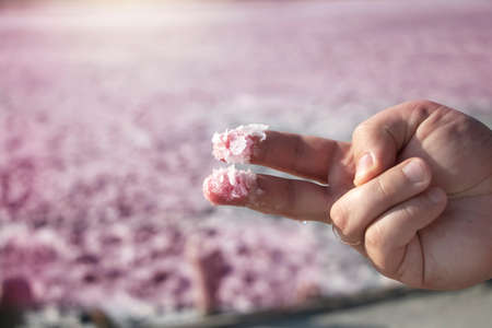 View of the pink Lemur Lake on the Arabat Spit in Ukraine. Unique pond with Dunaliella Salina algae, salt crystals and healing mud. Dead Sea analogueの写真素材