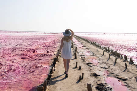 View of the pink Lemur Lake on the Arabat Spit in Ukraine. Unique pond with Dunaliella Salina algae, salt crystals and healing mud. Dead Sea analogueの写真素材