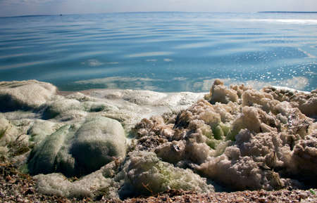 Dirty foam on the water near the shore. Green water, gray and dirty foam indicate the consequences of an environmental disaster. Water pollution by toxins and industrial emissionsの写真素材