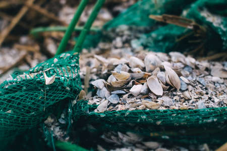 An old green fishing net is torn apart, covered in shells. The blurred edges of the photograph create concept of the passage of time and aging. Nature background. Close-up of vintage fishing tackleの写真素材
