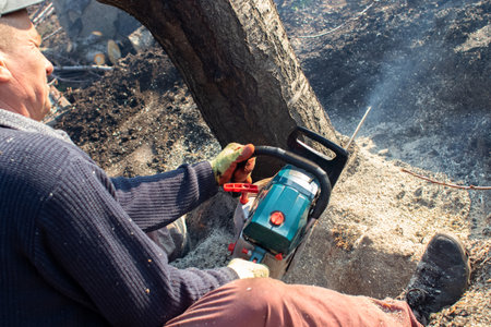 A man lumberjack is sawing a tree with a chainsaw. The sawdust is thrown straight into the screen....