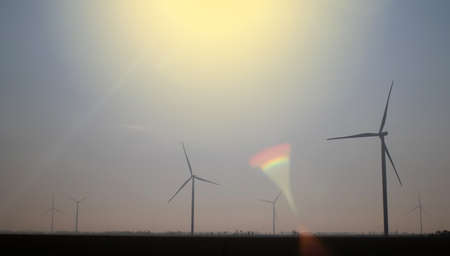 Windmills in the fog near a field of sunflowers. Early morning. See the movement of the blades, as a...