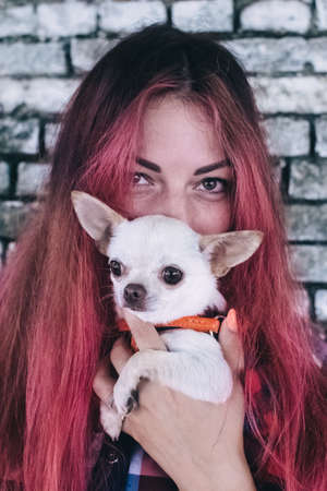 The girl holds a mini chihuahua in her arms. Kissing your pet. The dog and the owner are dressed in the same color. Clothes for animals. Love and care for four-legged pets.の写真素材