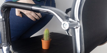 concept. A woman holds a cactus as a symbol of rectal pain. Varicose veins of the lower intestine. Pain in the rectum, hemorrhoids and pain in the excretory system of the body. Proctologyの写真素材