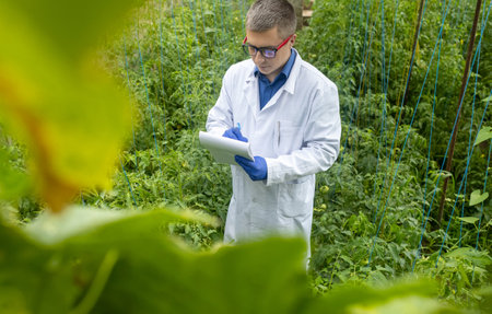 Plant disease agronomist. Junior agricultural scientists research greenhouse plants and look for a way to control pests. yellow leaf. Scientist in white coat. Diseases of agricultural plantsの写真素材