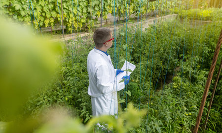 Plant disease agronomist. Junior agricultural scientists research greenhouse plants and look for a...