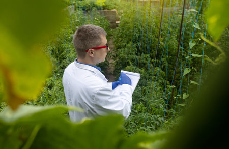 Plant disease agronomist. Junior agricultural scientists research greenhouse plants and look for a...