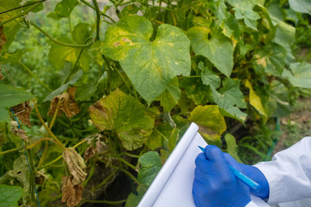 Plant disease agronomist. Junior agricultural scientists research greenhouse plants and look for a...