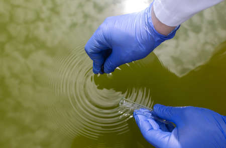 water sample. Checking the condition of rivers or natural lakes. Water test for chemicals, bacteria, harmful substances, radiation. Collection of material in a test tube for further research.の写真素材