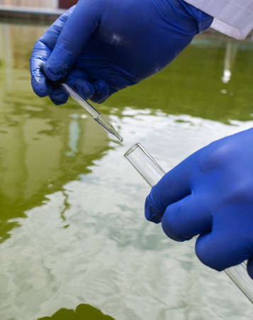 water sample. Bacterial control of pool water. Checking the amount of algae, harmful substances and chemicals. Laboratory study of water from artificial reservoirs. Taking liquid into a test tubeの写真素材