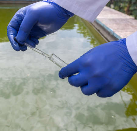 water sample. Bacterial control of pool water. Checking the amount of algae, harmful substances and chemicals. Laboratory study of water from artificial reservoirs. Taking liquid into a test tubeの写真素材