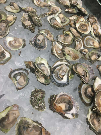 Lots of fresh tasty raw oysters seafood on ice in restaurantの写真素材