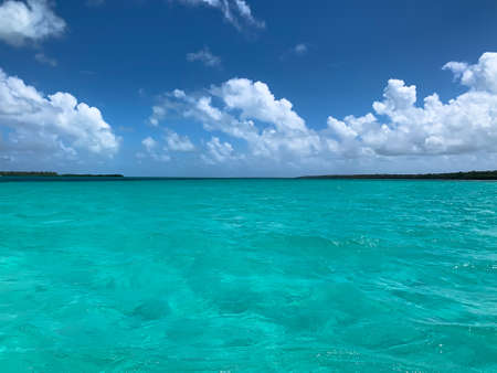Turquoise blue clear Caribbean sea and horizon on Saona island in Dominican Republicの写真素材