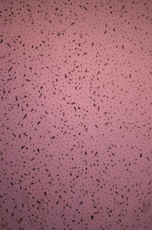 Wall Foam texture background redの写真素材