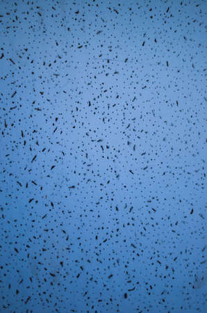 Wall Foam texture background blueの写真素材