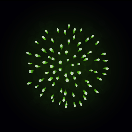 Beautiful green firework. Bright firework isolated on black background. Light green decoration firework for Christmas, New Year celebration, holiday, festival, birthday card Vector illustrationのイラスト素材
