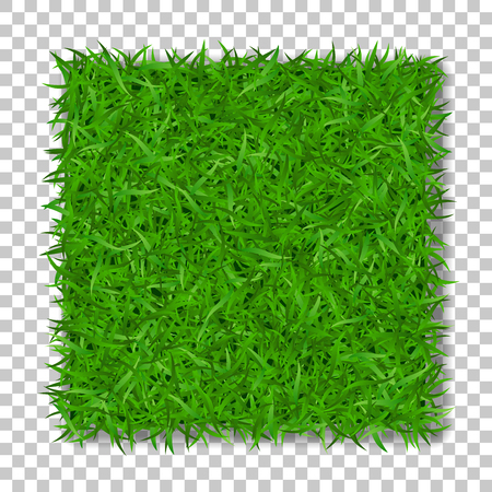 Grass square 3D. Beautiful green grassy field, isolated on white transparent background. Lawn abstract nature texture. Symbol natural, fresh, meadow plant, spring or summer Vector illustrationのイラスト素材