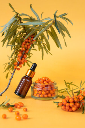 Bottle of sea buckthorn essential oil on yellow background and branch. Trendy cosmetics concept.の写真素材