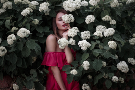 Stylish pretty young woman in a fashion pink dress in a bush with flowers outdoors natureの写真素材