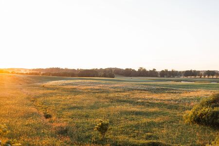 Green field with green grass in the bright orange light of the sun. Landscape countryside.の写真素材