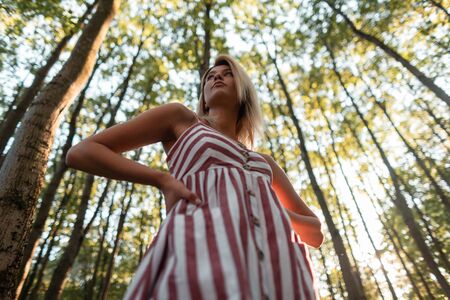 Pretty glamorous young woman with blond hair in a fashionable striped pink dress posing on the background of a trees and a summer sunset in the forest. Attractive girl resting outdoors.Bottom view.の写真素材