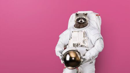 Funny raccoon astronaut in a space suit with a helmet on a pink background. Creative ideaの写真素材