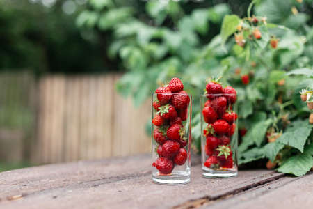 Strawberries in a glass cup on a wooden table in the garden near the bushの写真素材