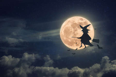 Witch on a broomstick with bats flies at night against a full moon backgroundの写真素材