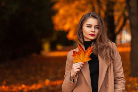 Autumn portrait of a beautiful young girl with a colored red-orange maple leaf in a fashionable beige coat with a sweater walks in the park with foliage. Place for text, copy spaceの写真素材