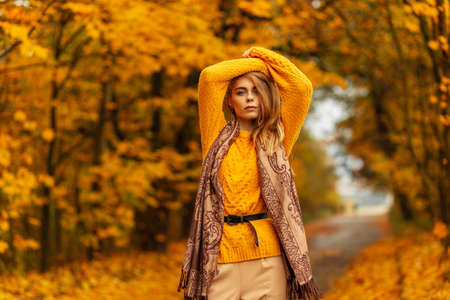 Pretty European woman in vintage knitted yellow sweater and fashion scarf poses in the amazing park with colorful autumn leaves. female fall style and beautyの写真素材