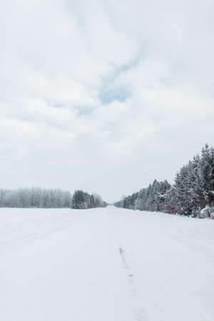 Winter landscape with forest and fieldsの写真素材