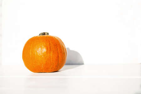 Orange pumpkin on a white wooden background. autumn day