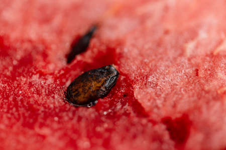 The pit in the watermelon pulp, macro. Delicious ripe watermelon, closeup