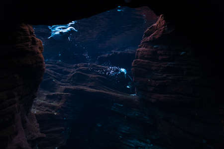 Beautiful penguins swim and look for food underwater in the deep sea with rocks. The Oceanarium in Lisbon. Wild life and waterの写真素材