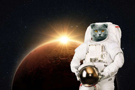Space cat astronaut in a space suit with a helmet on the background of the red planet Mars with rays...