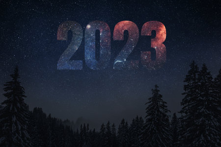 Night clear starry sky in a snowy forest on Christmas Eveの写真素材