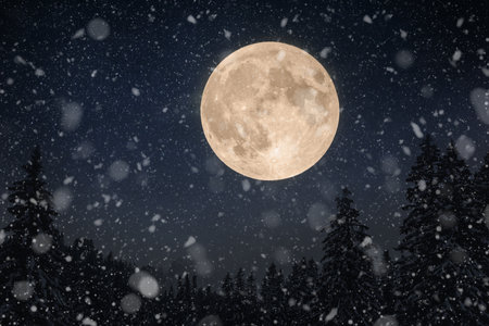 Amazing beautiful big moon in the night sky with stars and winter forest with snow. Winter holidays and night landscape. Snow fallsの写真素材
